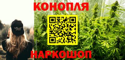прущие крисы Нарткала