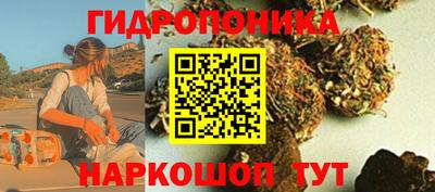 прущие крисы Нарткала