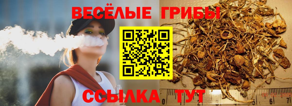 Галлюциногенные грибы Psilocybe  Галлюциногенные грибы Psilocybe  Сокол  Вход с VPN 