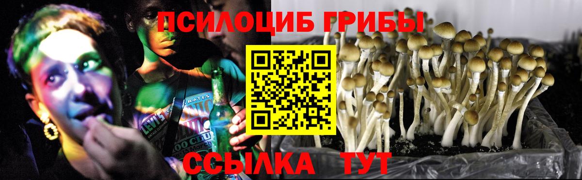 Псилоцибиновые грибы мухоморы Сокол